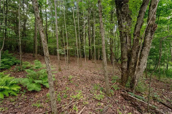 $26,500 | 2 County Road, Addison, NY 14801