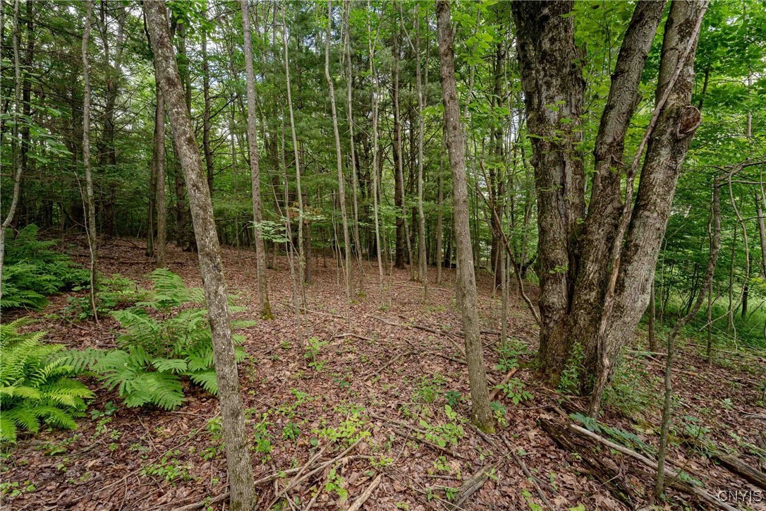 2 County Road Addison, NY 14801 - Photo 11 of 39