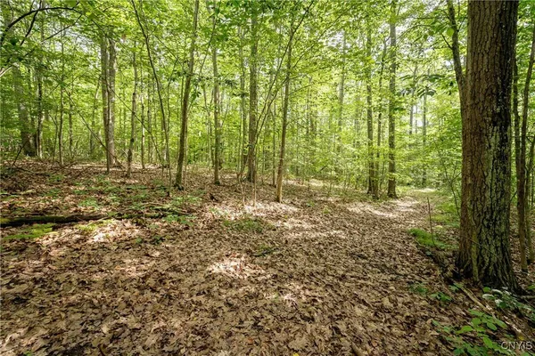 $26,500 | 2 County Road, Addison, NY 14801