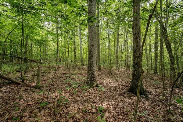 $26,500 | 2 County Road, Addison, NY 14801