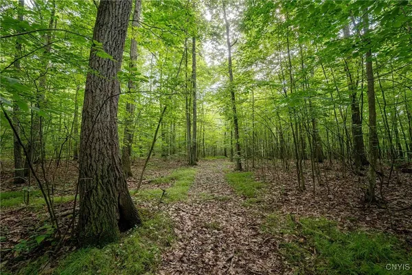 $26,500 | 2 County Road, Addison, NY 14801