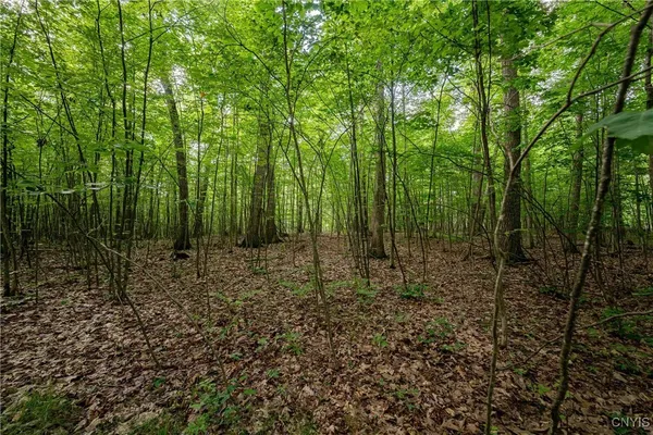 $26,500 | 2 County Road, Addison, NY 14801