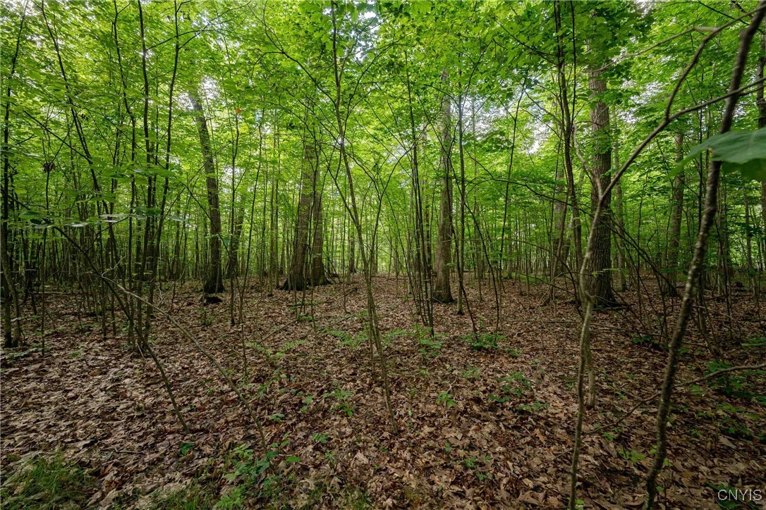 2 County Road Addison, NY 14801 - Photo 16 of 39