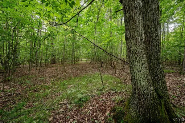 $26,500 | 2 County Road, Addison, NY 14801