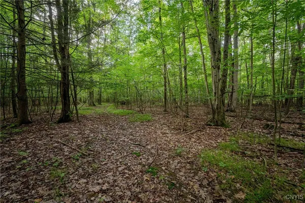 $26,500 | 2 County Road, Addison, NY 14801