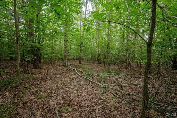 $26,500 | 2 County Road, Addison, NY 14801