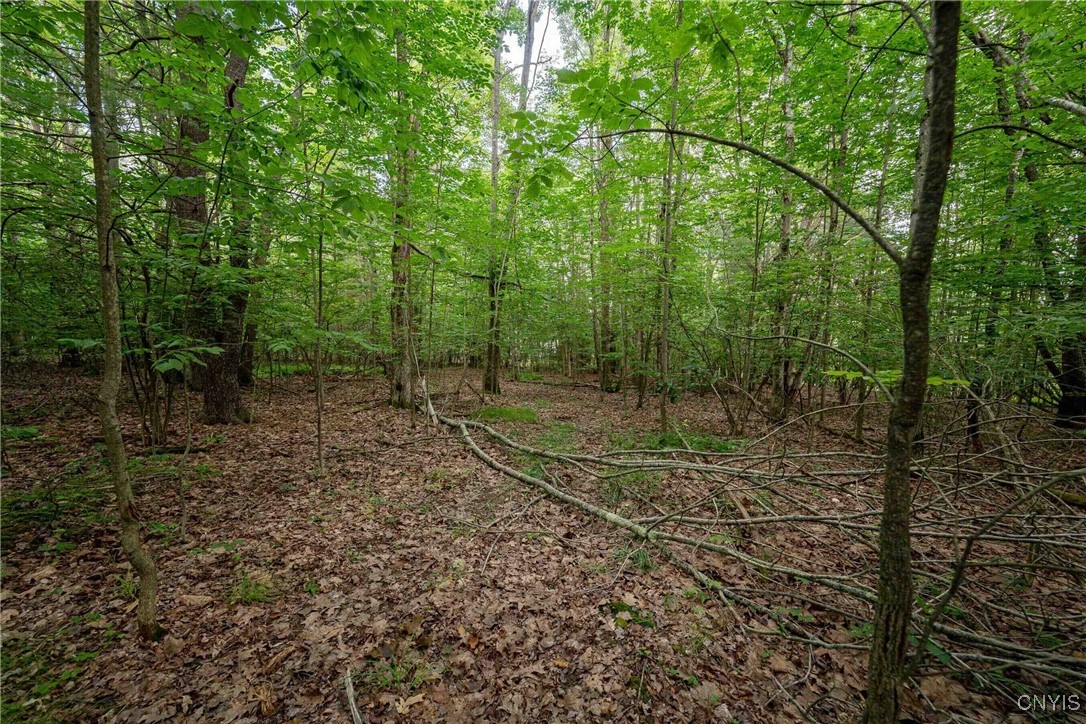 2 County Road Addison, NY 14801 - Photo 19 of 39