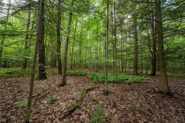 $26,500 | 2 County Road, Addison, NY 14801