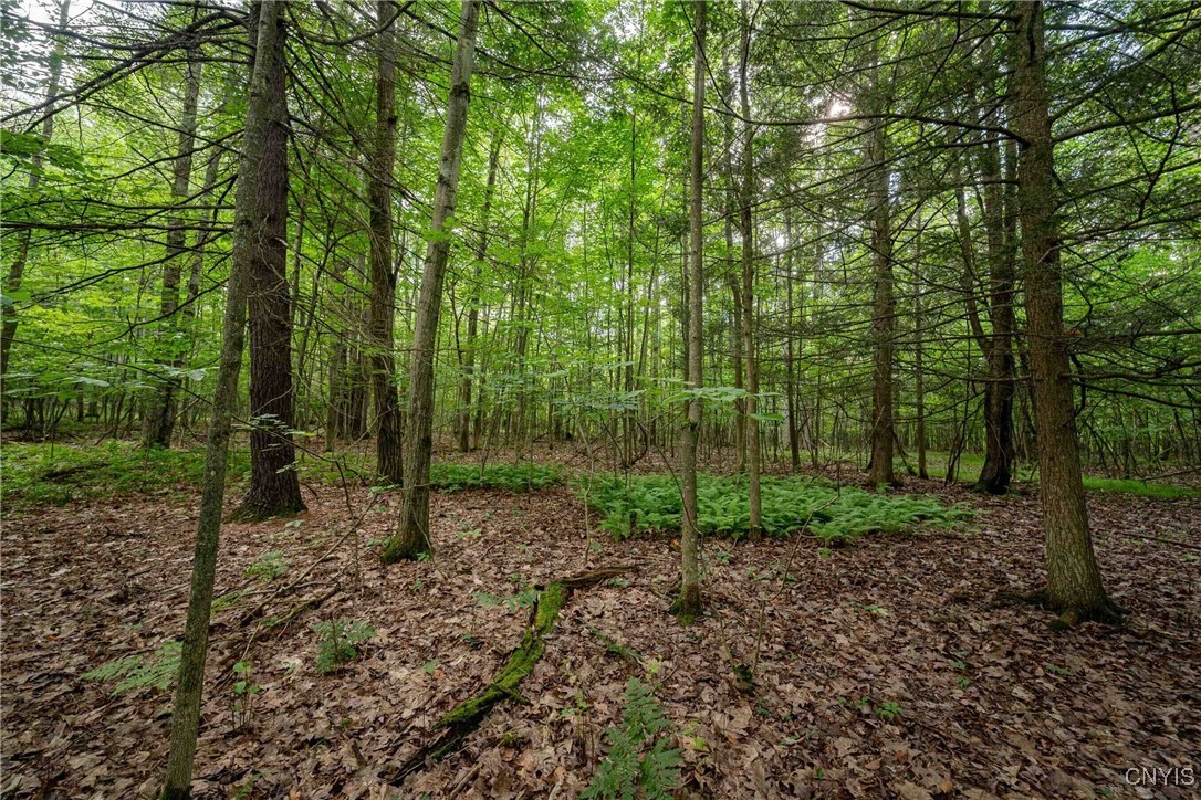 2 County Road Addison, NY 14801 - Photo 20 of 39