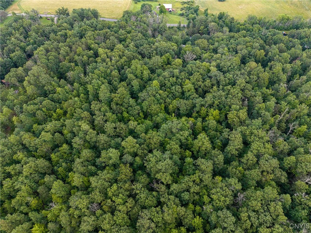 2 County Road Addison, NY 14801 - Photo 2 of 39