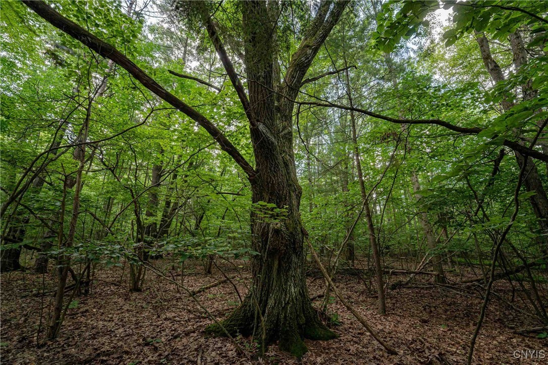 2 County Road Addison, NY 14801 - Photo 21 of 39