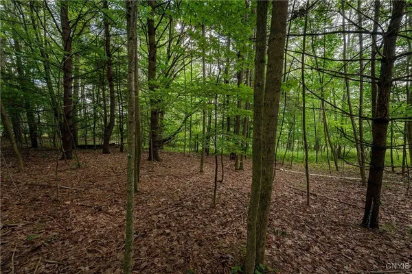 $26,500 | 2 County Road, Addison, NY 14801