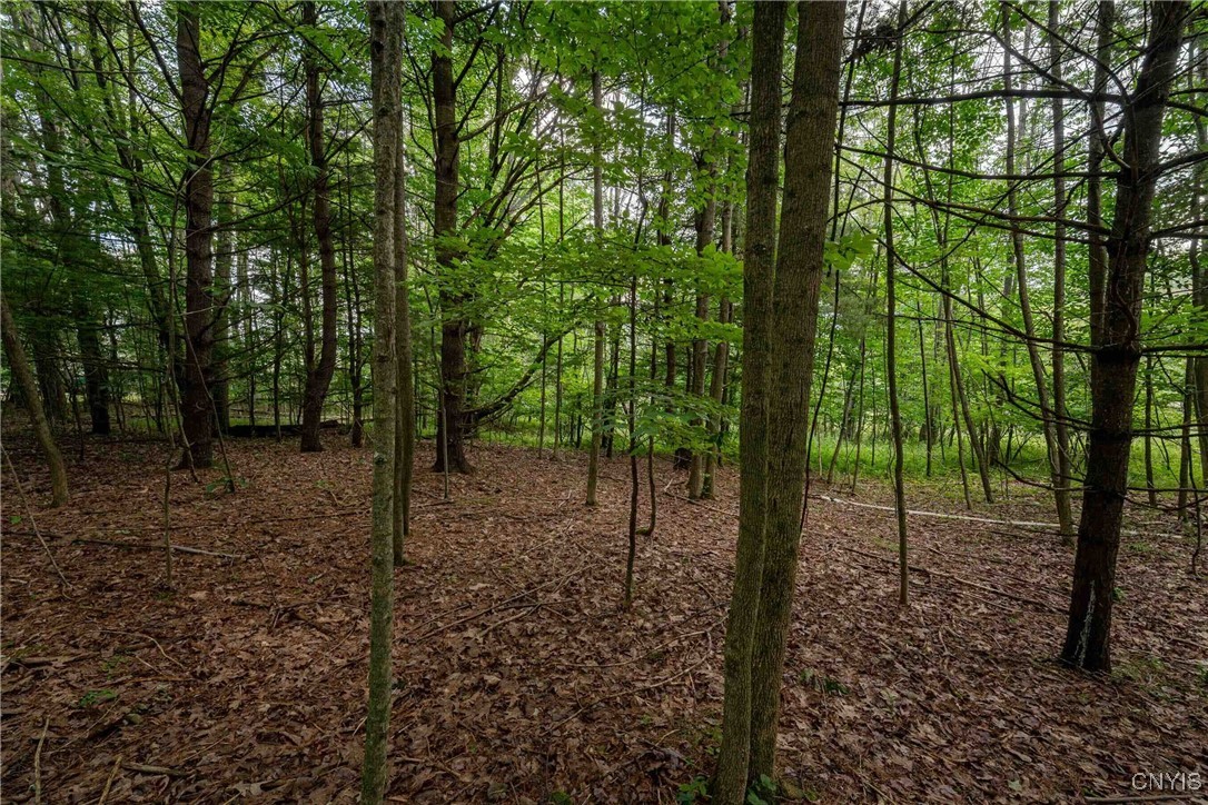 2 County Road Addison, NY 14801 - Photo 22 of 39