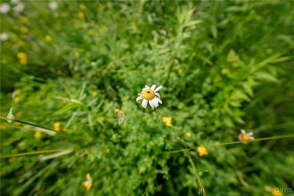 $26,500 | 2 County Road, Addison, NY 14801