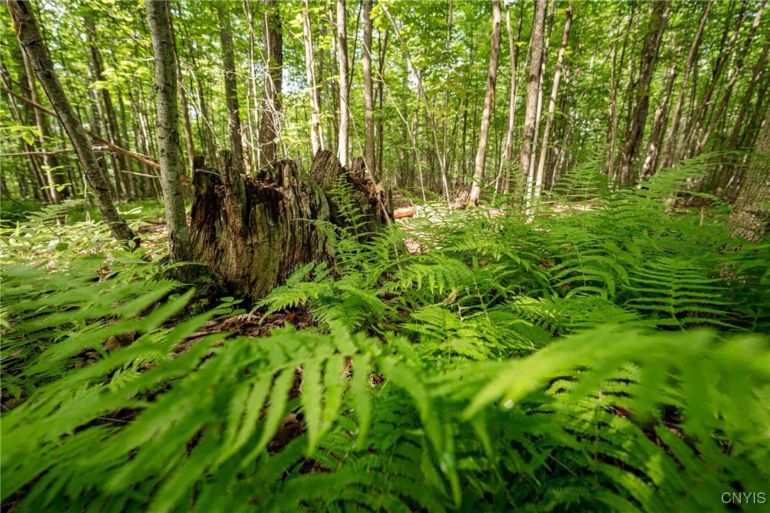 2 County Road Addison, NY 14801 - Photo 24 of 39