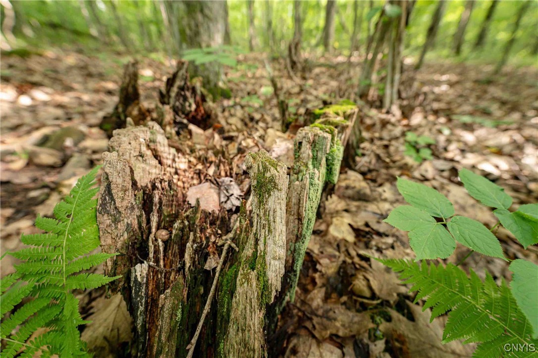 2 County Road Addison, NY 14801 - Photo 25 of 39