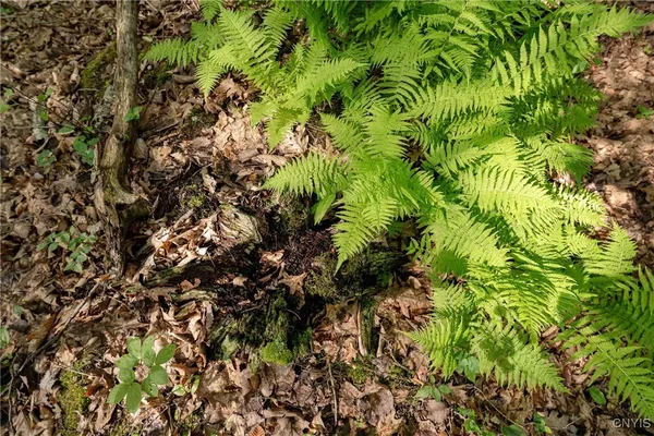 $26,500 | 2 County Road, Addison, NY 14801