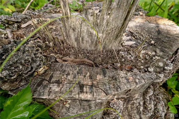 $26,500 | 2 County Road, Addison, NY 14801