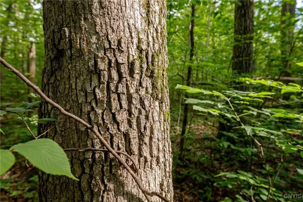 $26,500 | 2 County Road, Addison, NY 14801