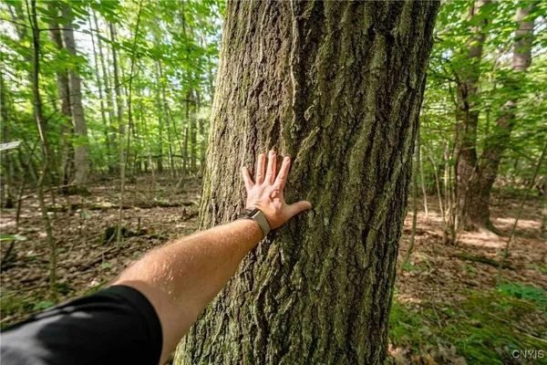 $26,500 | 2 County Road, Addison, NY 14801