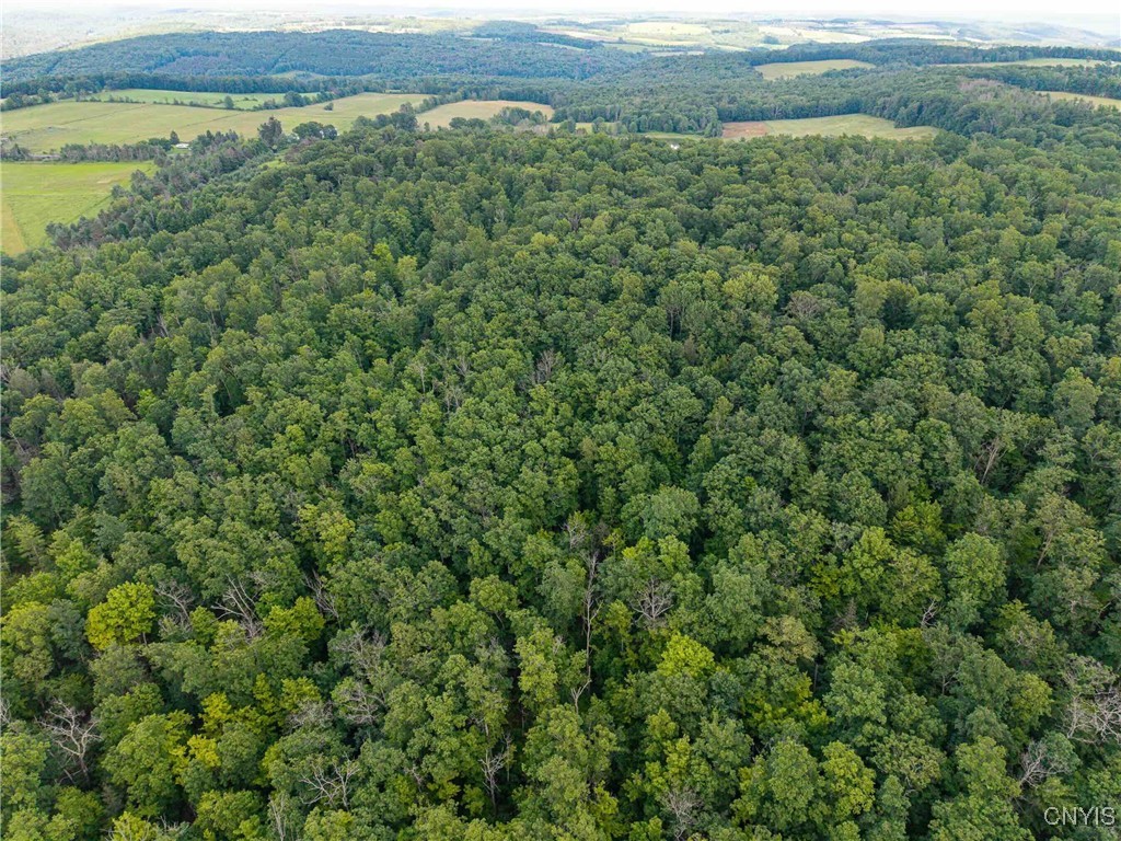 2 County Road Addison, NY 14801 - Photo 3 of 39