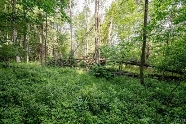 $26,500 | 2 County Road, Addison, NY 14801