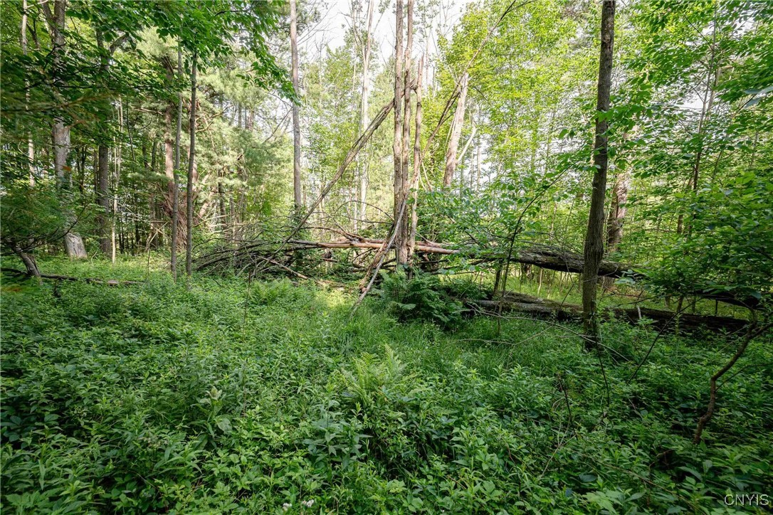 2 County Road Addison, NY 14801 - Photo 32 of 39