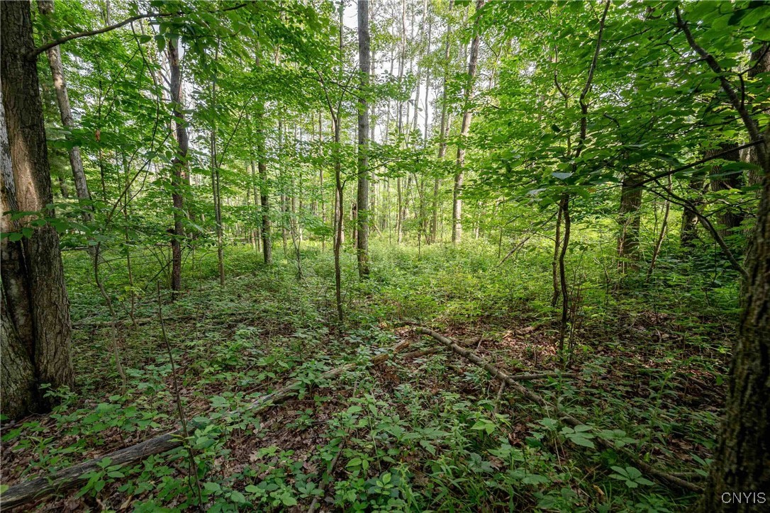 2 County Road Addison, NY 14801 - Photo 33 of 39