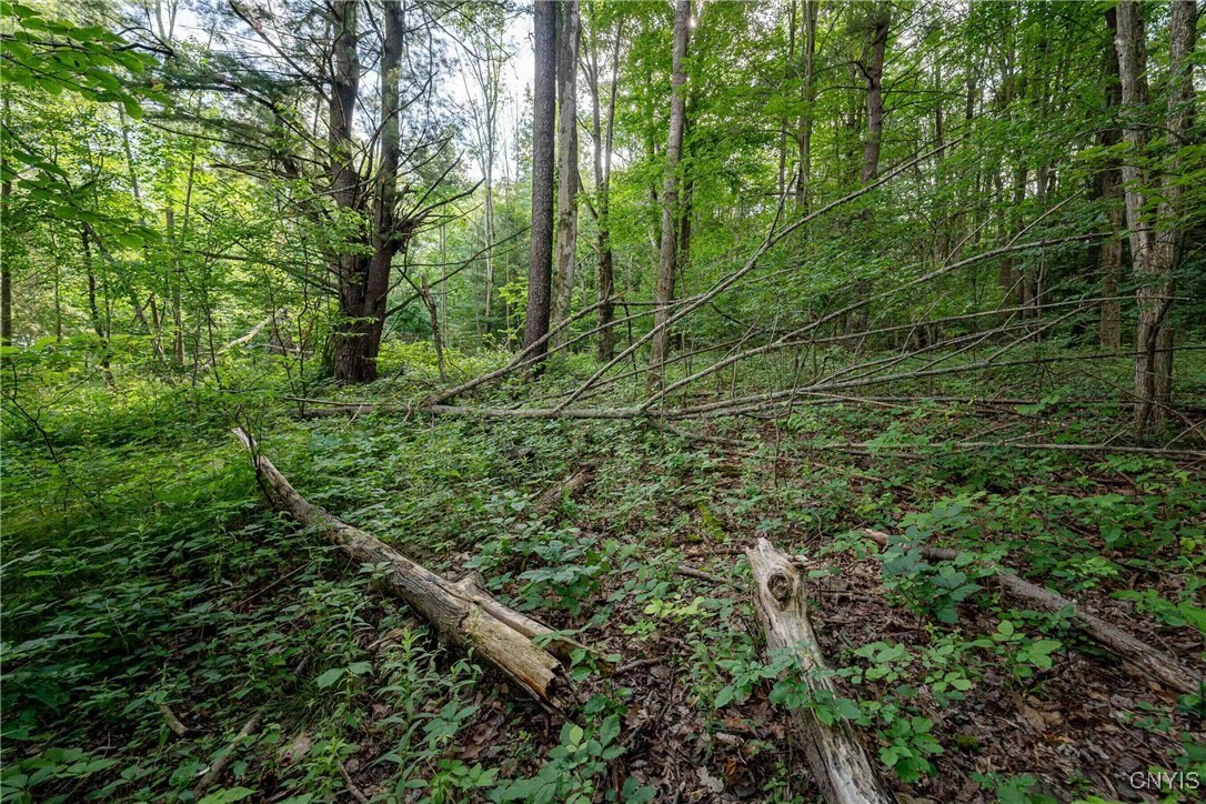 2 County Road Addison, NY 14801 - Photo 34 of 39