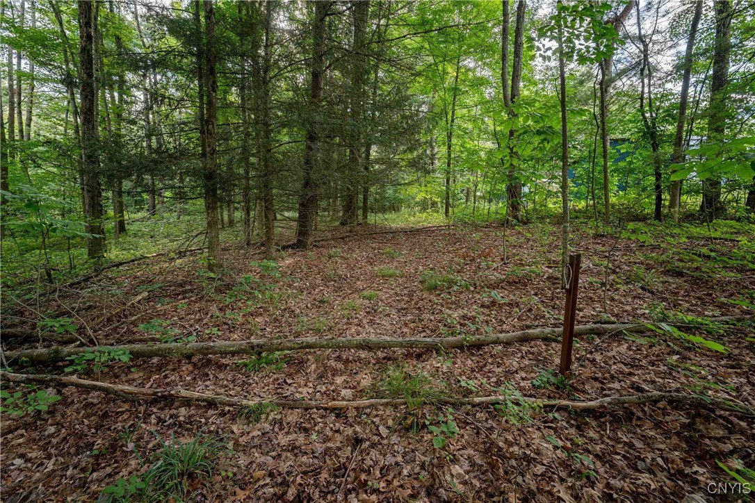 2 County Road Addison, NY 14801 - Photo 35 of 39