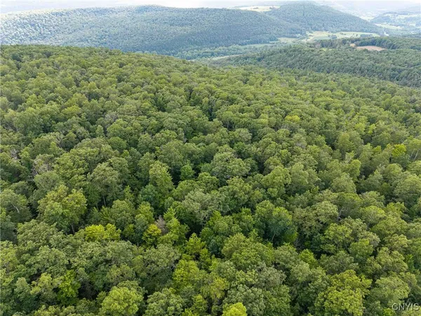 $26,500 | 2 County Road, Addison, NY 14801