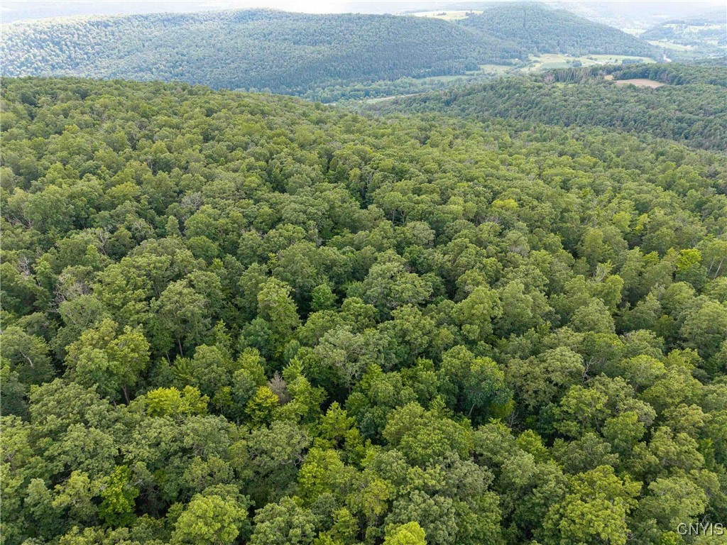 2 County Road Addison, NY 14801 - Photo 36 of 39