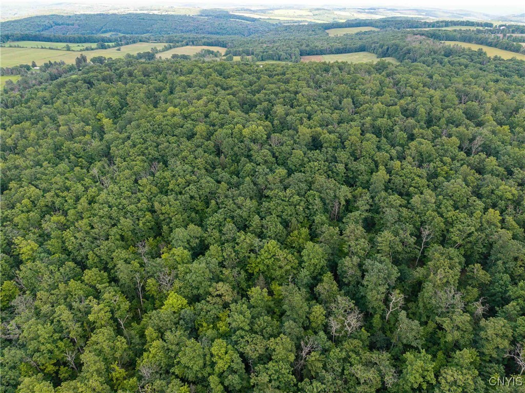 2 County Road Addison, NY 14801 - Photo 37 of 39