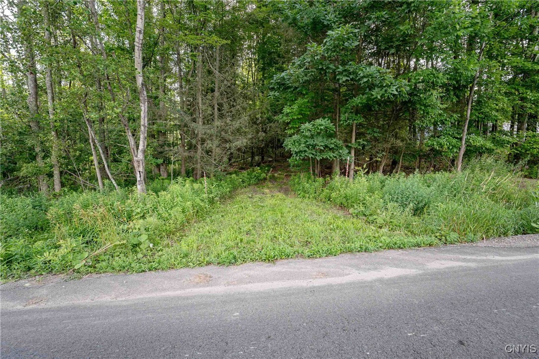 2 County Road Addison, NY 14801 - Photo 5 of 39