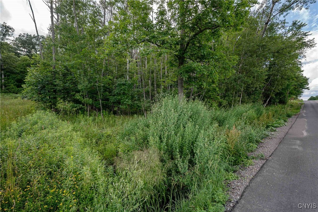 2 County Road Addison, NY 14801 - Photo 7 of 39