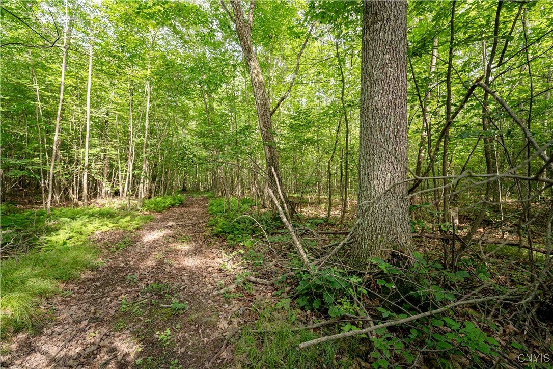 2 County Road Addison, NY 14801 - Photo 8 of 39