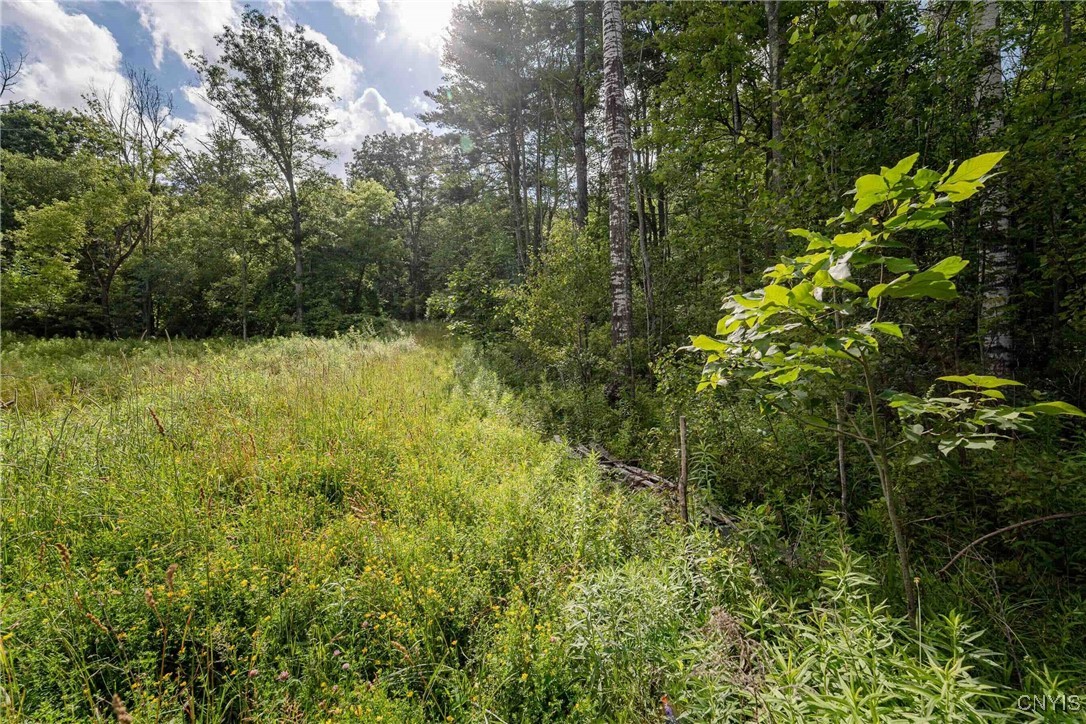 2 County Road Addison, NY 14801 - Photo 9 of 39