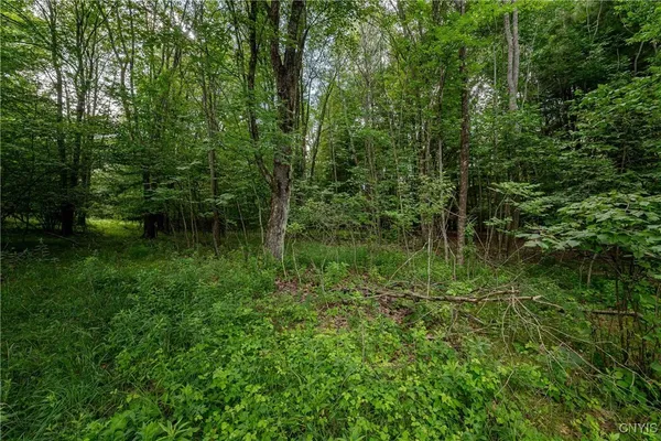 $26,500 | 2 County Road, Addison, NY 14801
