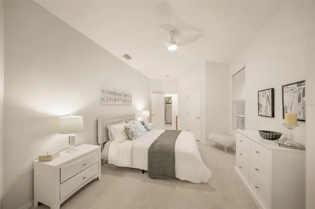 a view of a pathway with a plants