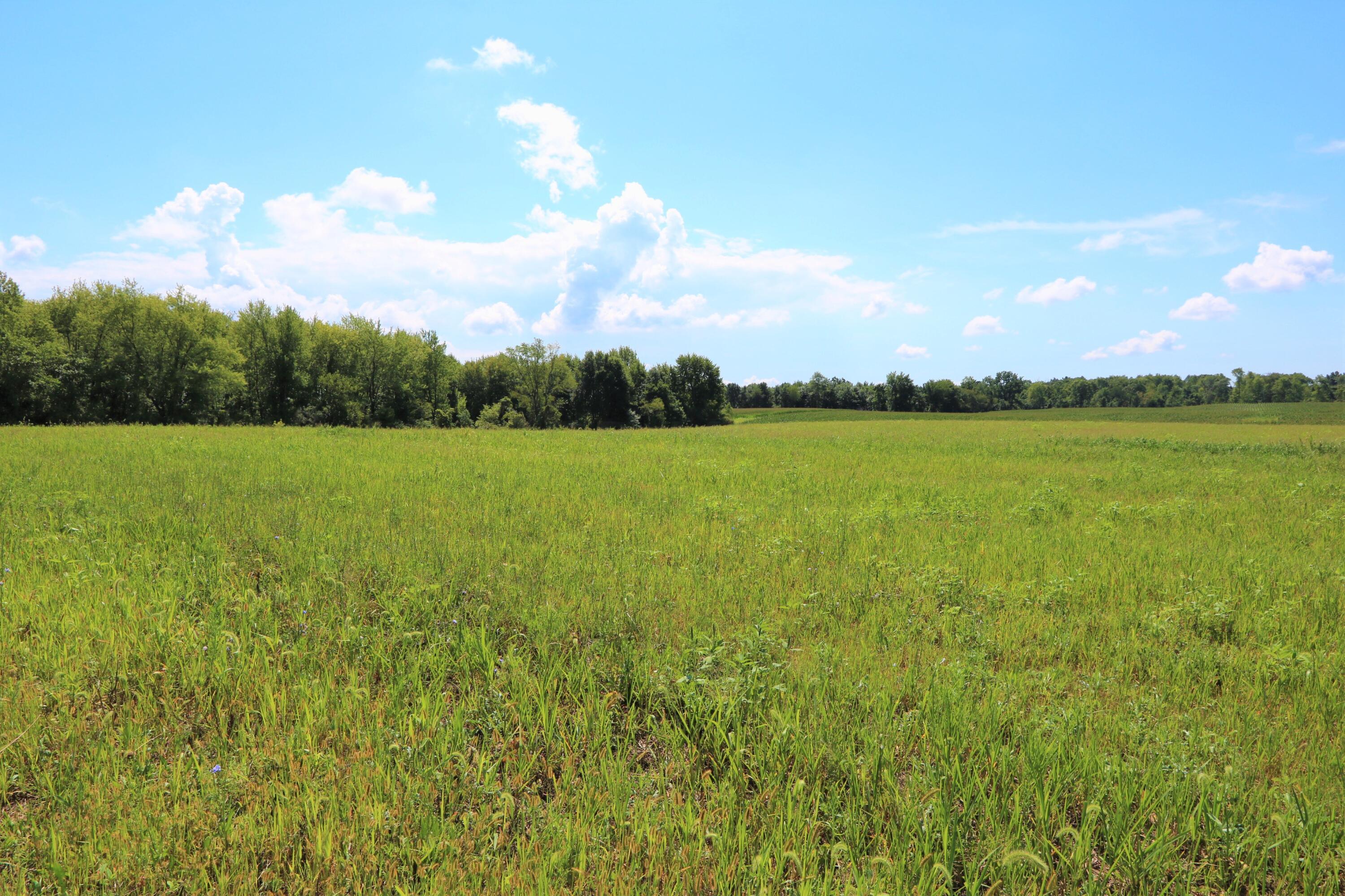 0 Lock Road, Unit LOT 1) Centerburg, OH 43011 - Photo 1 of 5 IMG_92891