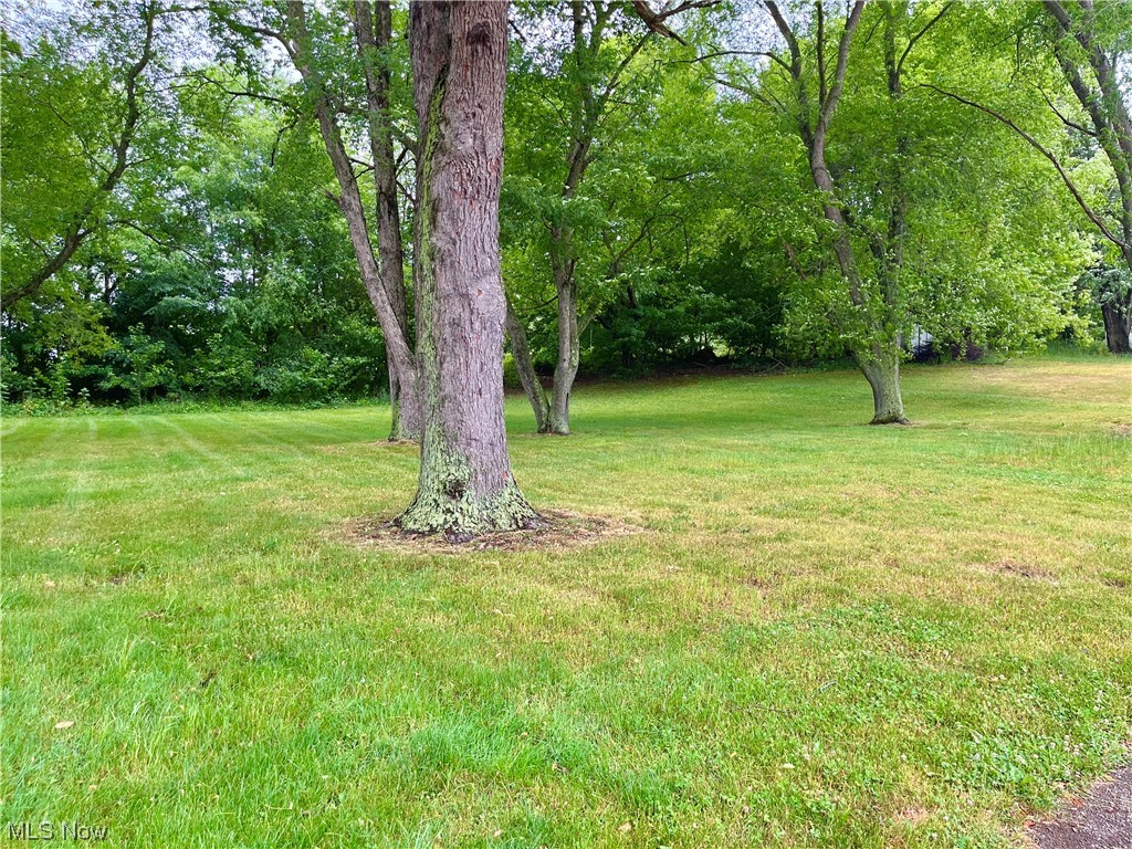 1180 Kennel Road Northwest Minerva, OH 44657 - Photo 16 of 17