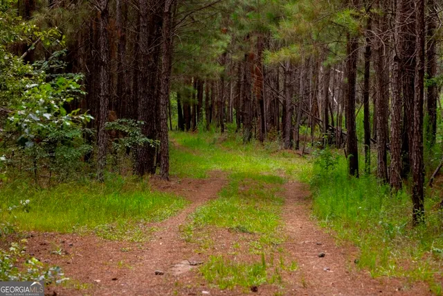 $1,750,000 | 0 Hwy 280 Pembroke Ga 31321, Pembroke, GA 31321