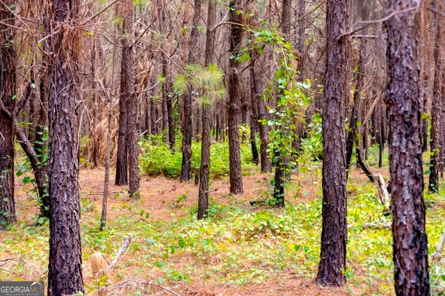 $1,750,000 | 0 Hwy 280 Pembroke Ga 31321, Pembroke, GA 31321