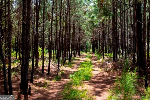 $1,750,000 | 0 Hwy 280 Pembroke Ga 31321, Pembroke, GA 31321