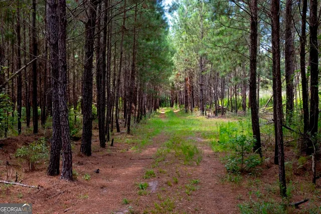 $1,750,000 | 0 Hwy 280 Pembroke Ga 31321, Pembroke, GA 31321