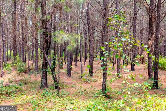 $1,750,000 | 0 Hwy 280 Pembroke Ga 31321, Pembroke, GA 31321