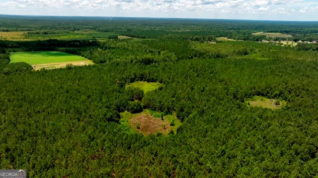 $1,750,000 | 0 Hwy 280 Pembroke Ga 31321, Pembroke, GA 31321