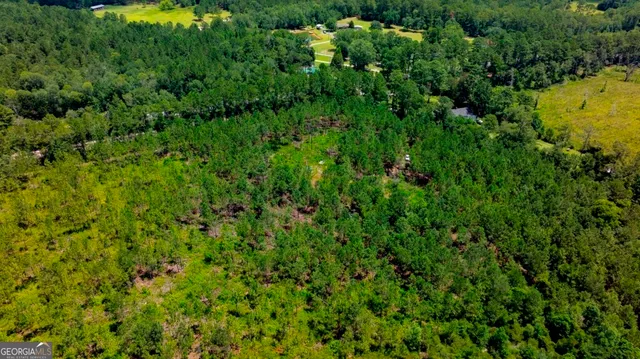 $1,750,000 | 0 Hwy 280 Pembroke Ga 31321, Pembroke, GA 31321