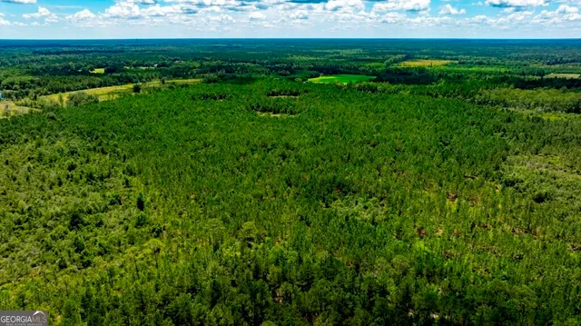 $1,750,000 | 0 Hwy 280 Pembroke Ga 31321, Pembroke, GA 31321