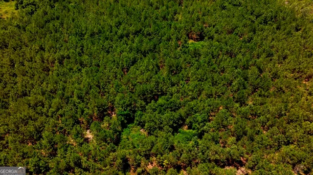 $1,750,000 | 0 Hwy 280 Pembroke Ga 31321, Pembroke, GA 31321